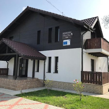 Pensiunea Dany - Crys Zvoristea Dış mekan fotoğraf