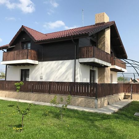 Pensiunea Dany - Crys Zvoristea Dış mekan fotoğraf