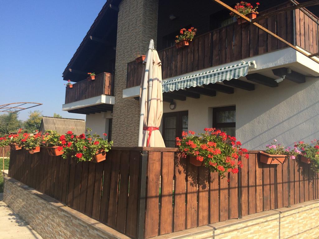 Pensiunea Dany - Crys Zvoristea Dış mekan fotoğraf