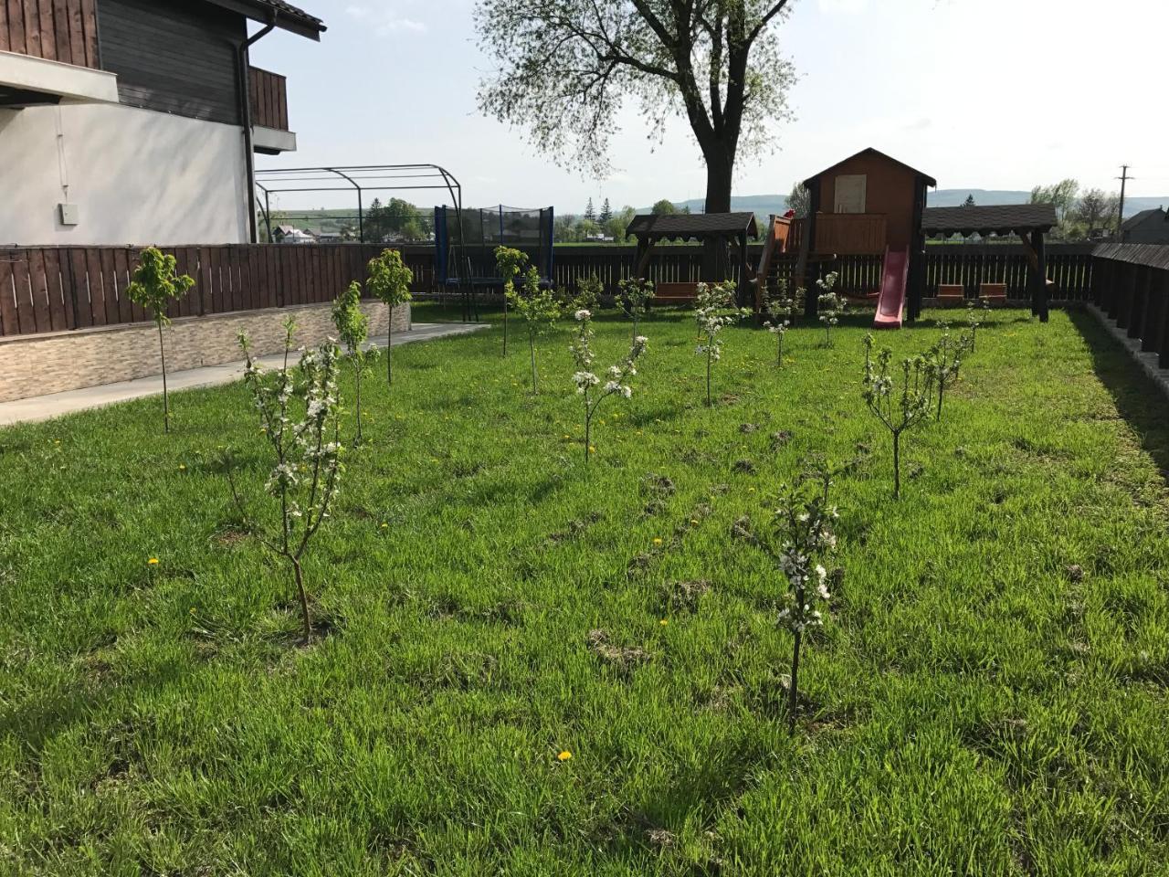 Pensiunea Dany - Crys Zvoristea Dış mekan fotoğraf